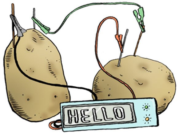 Systematization and planning